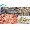 China Custom Industrial Cold Storage 3000 Tons , Cold Room For Frozen Seafood factory