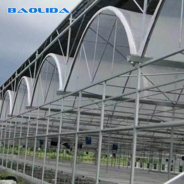 Quality Automatic System Multi-Span Greenhouse PC Polycarbonate Film Greenhouse Steel for sale