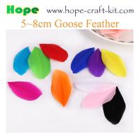 China Various size of goose feathers, turkey feathers, chicken feathers, peacock , ostrich feathers for hobbies and kids DIY factory