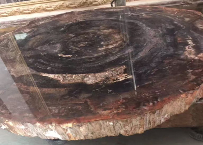 China Polished Brown Natural Semi Precious Stone Slabs Petrified Wood factory