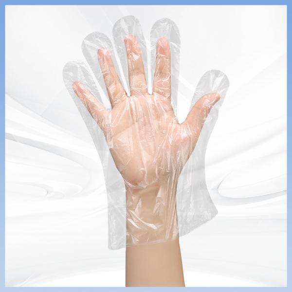 Quality Biodegradable Sanitary Disposable Polyethylene Gloves Powder Free for sale