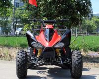 China 13.9HP Water Cooled Youth Racing ATV 200cc 4 Wheeler With Rear Disc Brake factory