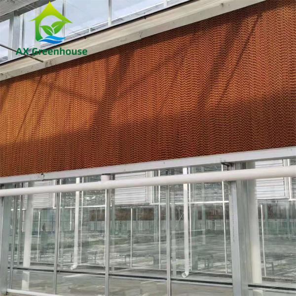 Quality Commercial Multispan Large Venlo Glass Greenhouse Hot Galvanized Steel Frame for sale