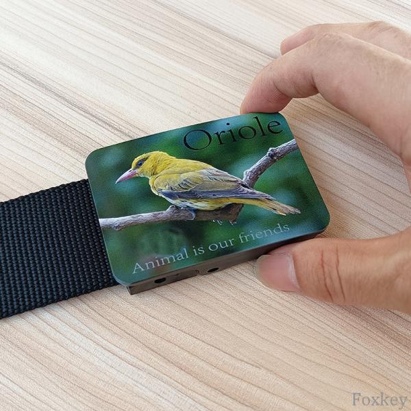 Quality Black Nylon Plastic Buckle Belt For Advert Webbing Promotion Gift Bird Photo Print for sale