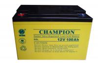 China China Champion Solar GEL Battery 12V100AH NP100-12-G Sealed Lead Acid Solar GEL Battery, Deep Cycle Solar Battery factory