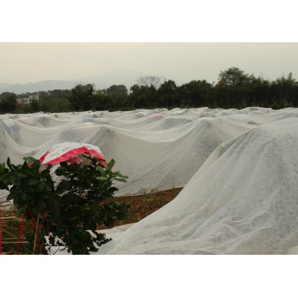 Quality Winter Protection Cloth Polypropylene Non Woven Fabric Cold Proof Breathable for sale