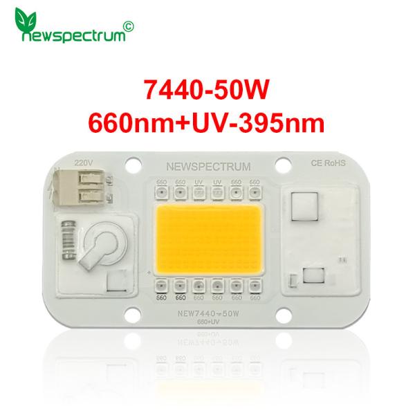 Quality 50HZ COB Led Chip for sale