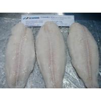 China Delicious Bulk Frozen Fish Frozen Pangasius Fillet / Basa Fish From Vietnam factory