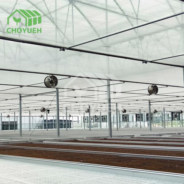 Quality Commercial Plastic Film Greenhouse Vegetable Farming With Ventilation System for sale