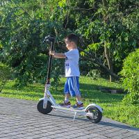 China EcoRider 2 Wheels Self Balancing Scooters 500W 8.5 Inch 36V Xiaomi Scooter Mobility factory