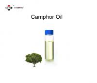 China 5% Cineole Daily Flavor Camphor Essential Oil factory