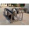 China Industrial Fruit Vegetable Washer Machine Bubbling Turnover Flush Washing factory