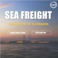 Quality International Sea Freight from Shenzhen to Surabaya Indonesia Competitive Rate for sale