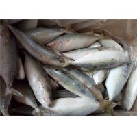 Quality Scomber Japonicus Seafood 60G Frozen Indian Mackerel For Home for sale