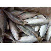 Quality Scomber Japonicus Seafood 60G Frozen Indian Mackerel For Home for sale