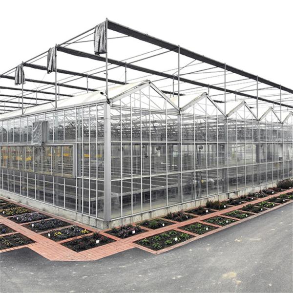 Quality Customizable High Durability Multispan Greenhouse Rain Resistant for sale