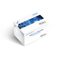 Quality Ferritin Quantitative Test Assay Kit CLIA Kit 96 Pieces Per Box for sale