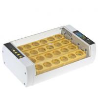 China Yellow 50Hz Fully Automatic Digital Egg Incubator , Egg Incubator Machine factory