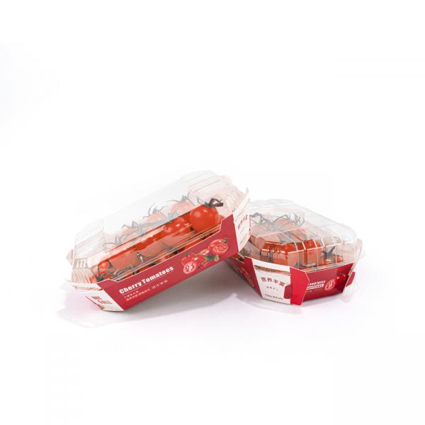 Quality Cherry Fruit And Vegetable Packaging Boxes , Folded Disposable Food Tray Boats for sale