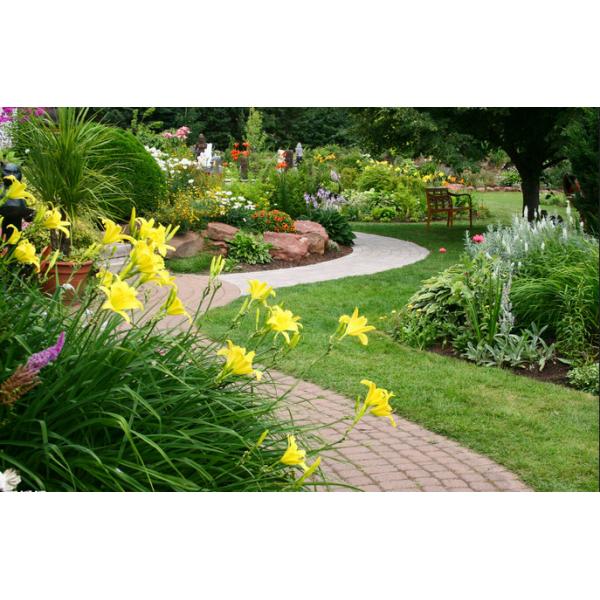 Quality OEM Garden Landscaping Artificial Grass False Turf SGF CE Certification for sale