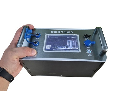 Quality High Precision Carbon Monoxide Analyser , 3.5kg Portable Multi Gas Analyser for sale