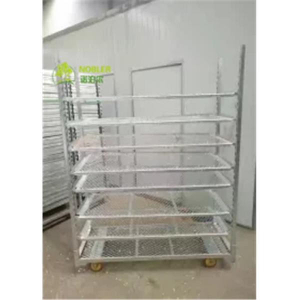 Quality Dutch Trolley Shelves CC Roll Container Nursery Trolley Cart Greenhouse Grow for sale