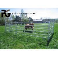 China Hot Dipped Galvanized Cattle Yard Panel , Farm Metal Horse Fence Panels factory