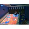 China Slide 3d Interactive Floor Games , Kids Interactive Floor Projection System factory