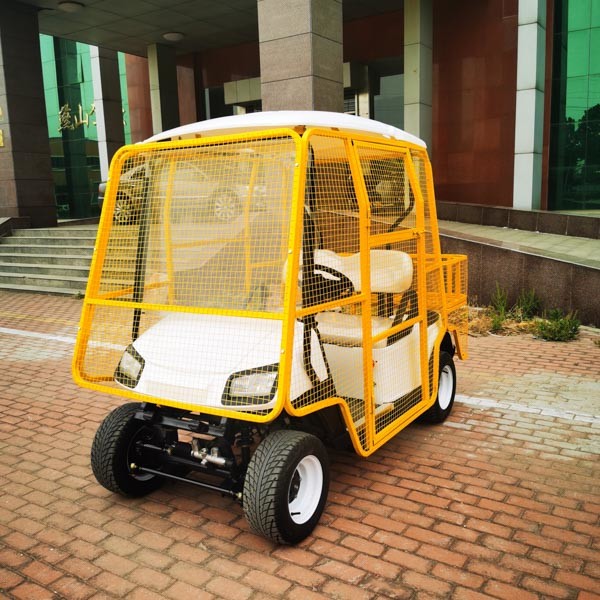 Quality Steel Frame 2 Seater Golf Cart New Energy Vehicles ODM 1 Years Warranty Lithium Battery Power for sale