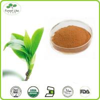 China Health Product Green Tea Extract 98%Tea Polyphenol factory