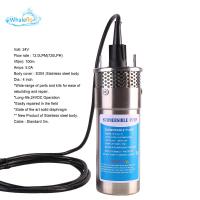 China Whaleflo 24V dc solar water pump dc solar submersible pump with lift rate 100m and flow rate 12L/M for irrigation factory