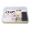 China 4d Master Toy 29 Parts Animal Anatomy Model Cattle Specimen For Teaching factory