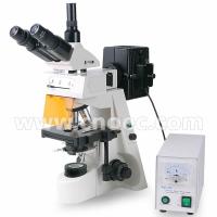 China Fluorescent Microscope Trinocular Head 40 - 1000X with CE A16.1103 factory