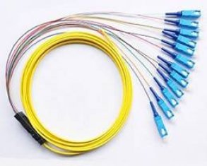 Quality 4, 6, 8, 12, 24, 48 Fibers Optional Ribbon multi-fiber Optic Pigtail for for sale