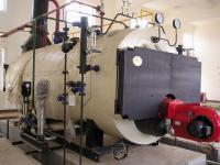 China 10 Ton Natural Gas Fired Steam Boiler factory