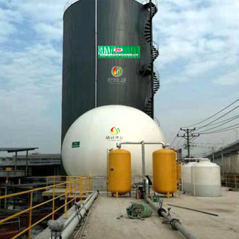 China Commercial Biogas Plant Construction In Biogas Thermal Power Plant factory