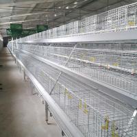 China Corrosion Resistant Poultry Layer Cage , Durable Ground Bird Feeder Cage factory