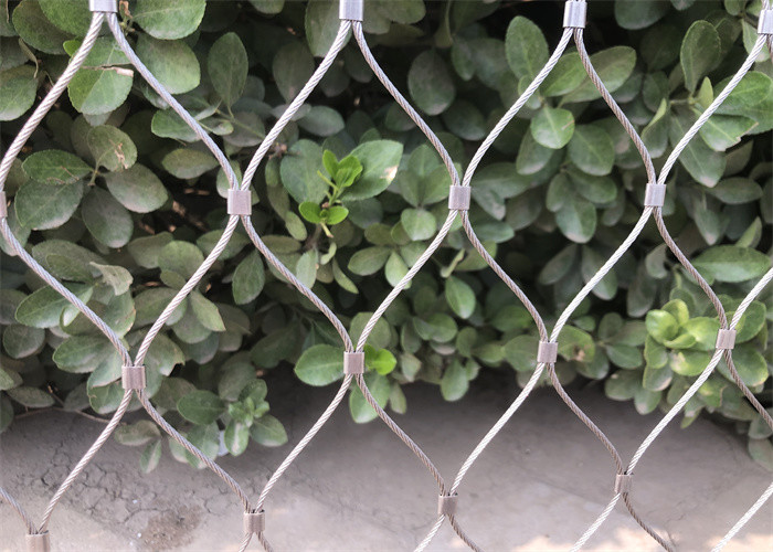 China SS 316 Green Plant Climbing Trellis Wall Mesh / 1.5mm Stainless Steel Wire Rope Mesh 100x100mm for sale