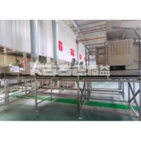 China Fully Automatic Garlic Processing Line Slicer Powder Drying Processing Line factory