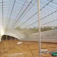 China Customized Temperature Control Polytunnel Greenhouses With Solar Energy Cooling System factory