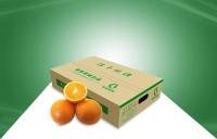 China 100% Eco - friendly Corrugated Carton Boxes Paper Shipping Box for Fruits Packing factory