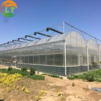 China Automatic Agricultural Multi-Span Film Greenhouses with Cooling Pad and Exhaust Fans for sale