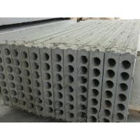 China Hollow Core Fibers / MgO Prefab Insulated Wall Panels , Precast Concrete Wall Panel factory