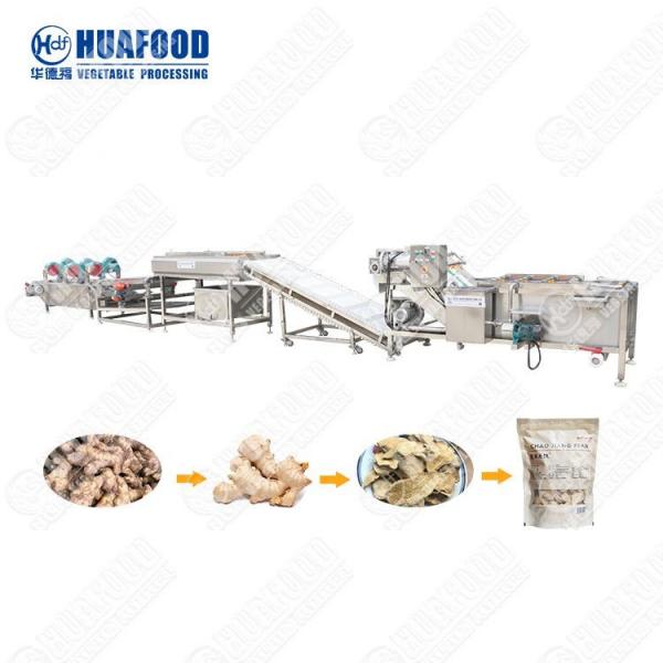 Quality Industrial Fruit Drying Production Line Dehydrator Seafood Fish Drying Machine for sale
