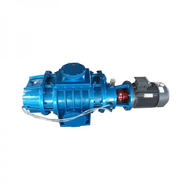 Quality 1.10kw-11kw Roots Vacuum Pump Used In Electronics / Machinery ZJ ZJB Series for sale