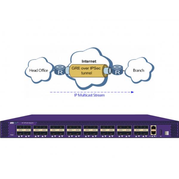 Quality GRE Tunneling Protocol With IPSec Ethereal Network Sniffer In NPB Protect Multicast Data for sale