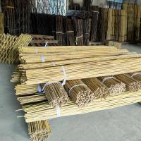 Quality Raw Bamboo Poles for sale