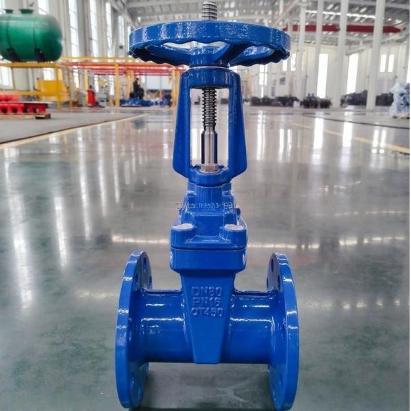 Quality DN300 Rising Resilient Seated Gate Valve GGG50 Ductile Iron Valves for sale