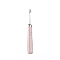 China IPX7 Ultrasonic Toothbrush Cleaner , 800mAh Battery Operated Travel Toothbrush factory