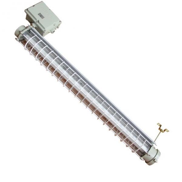 Quality T8 T10 2x20W Explosion Proof Fluorescent Lights 2ft 18 Inch 12 Inch Double Linear for sale